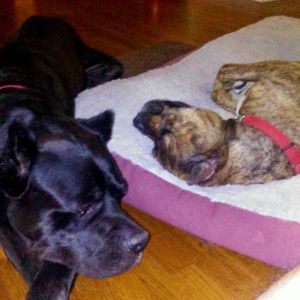 Meet your Posher, Chris